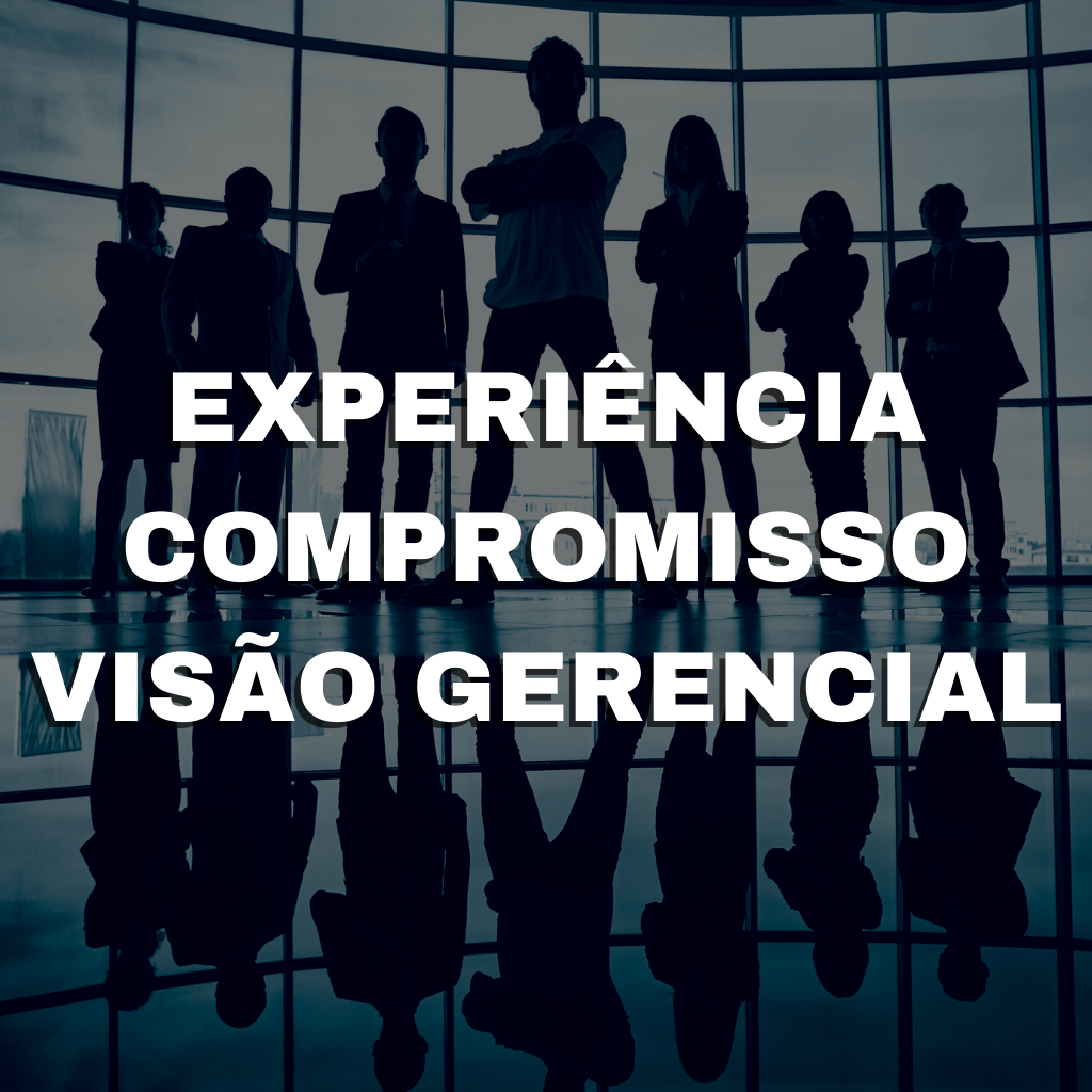 Invisia - Experiência, Compromisso e Visão Gerencial